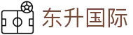 东升国际官网