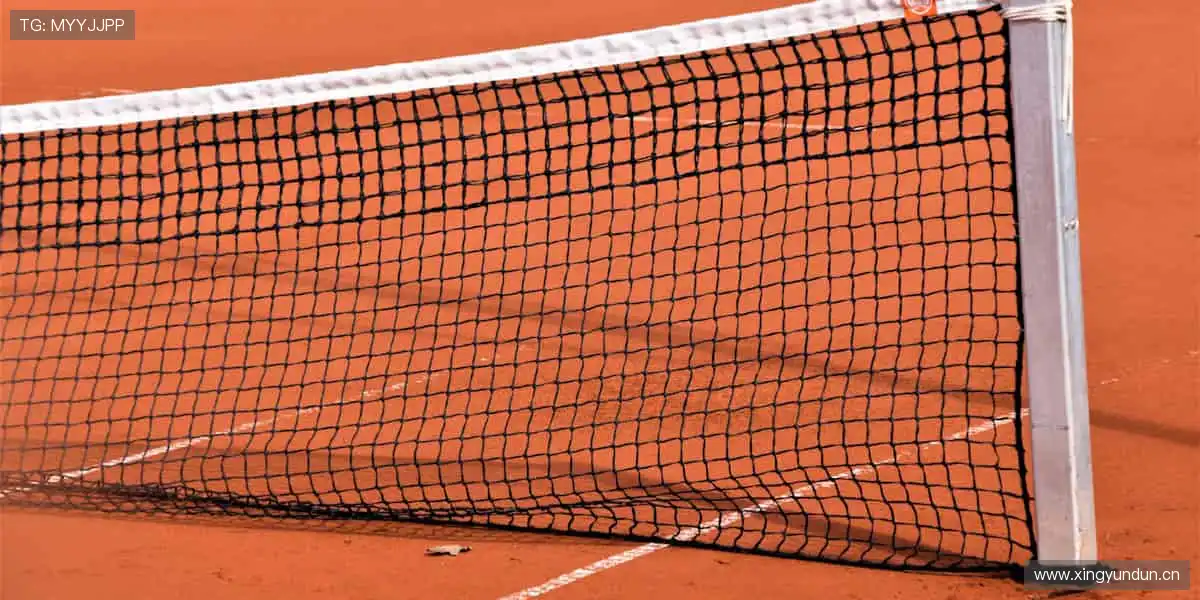 🔥全球赛事，一键解锁！⚽️🏀巅峰对决，等你来战！